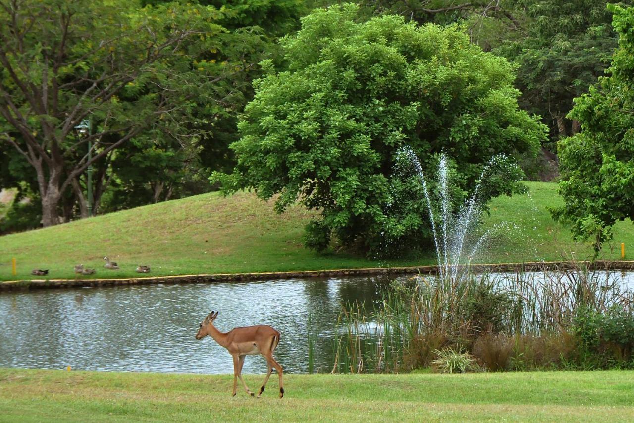 Kruger Park Lodge Unit No. 608A Hazyview Exteriör bild